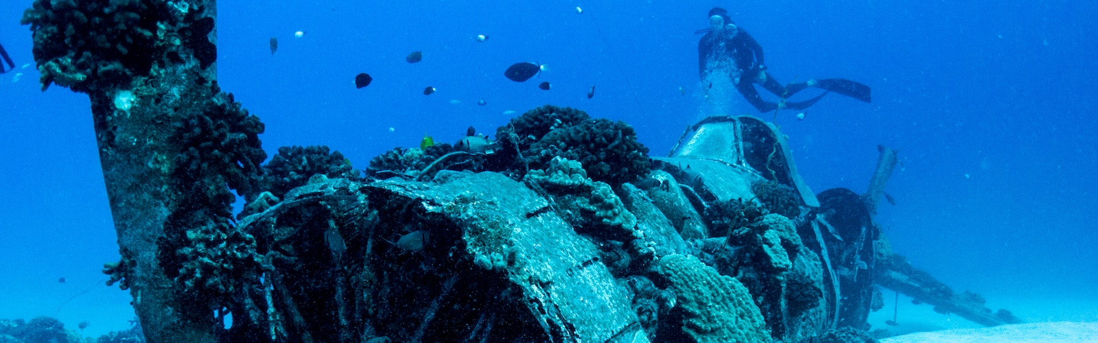 Oahu Scuba Diving Excursions, Best Oahu Tours & Activities