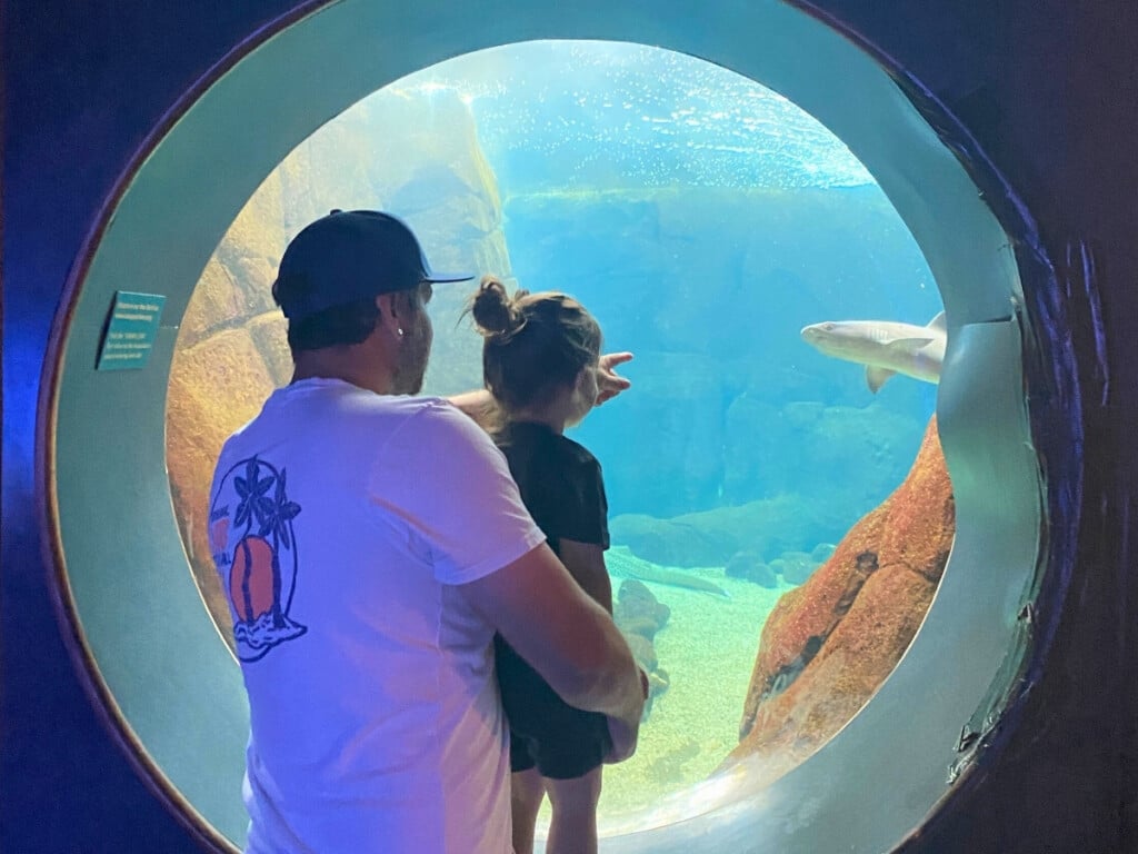 Father an son enjoying Waikīkī Aquarium.