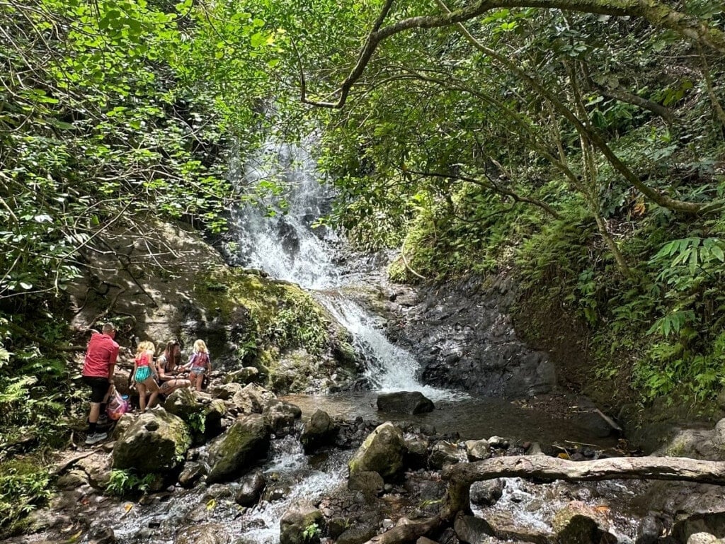 Family of four sitting by Likeke Falls shaded by verdent trees.