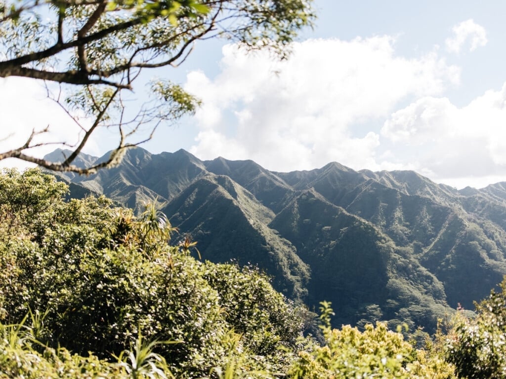 Scenic view of the lush green mountains from Mānoa Falls Trail.