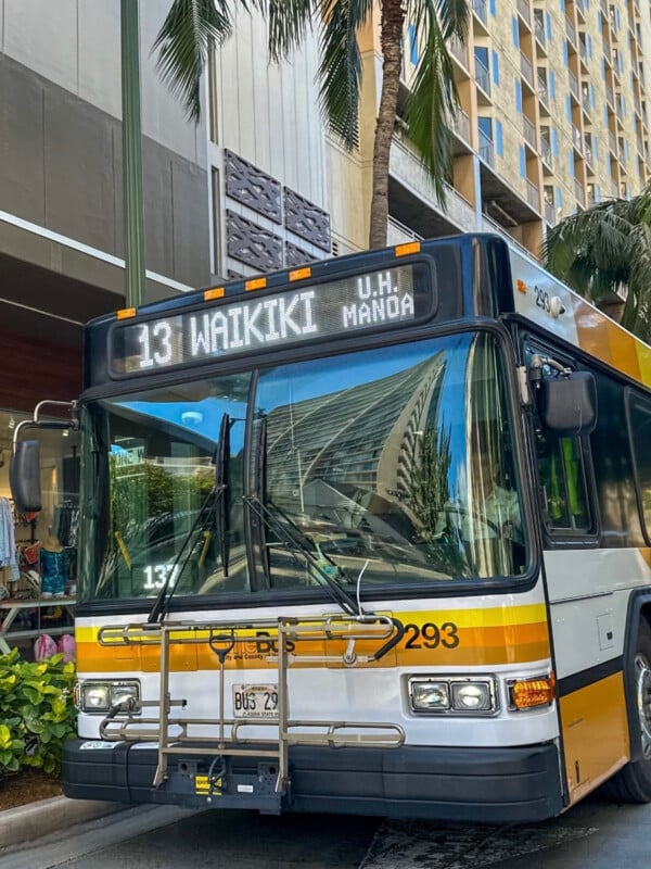 TheBus, Oʻahu's public transport network.