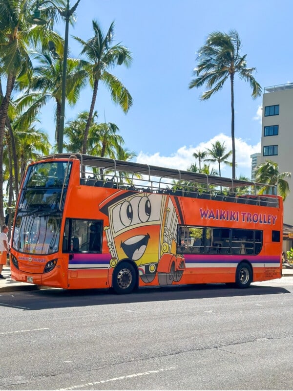 A big orange Waikiki Trolley picking up passengers on Kalākaua Ave. at Duke Kahanamoku Statue in Waikīkī.