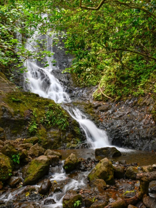 A beautiful waterfall in lush greenery falling over rocks on the Likeke Falls Trail, a hiking trail on Oʻahu, Hawaiʻi.