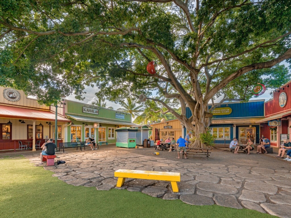 Haleʻiwa Store Lots on Oʻahu's North Shore.