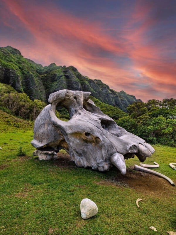 The boneyard featured in the movie Kong Skull Island at Kualoa Ranch.