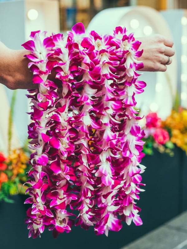 Arm holding out 5 purple fresh orchid lei.