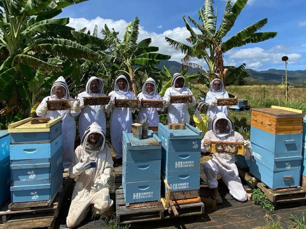 Hi Honey farm group tour in bee keeping suits near the bee hives holding honey comb.