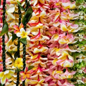 Strings of Hawaiian flower lei.