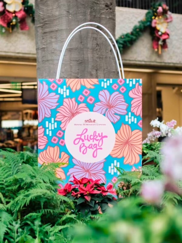 A Lucky Bag as part of Fukubukuro activities in Waikīkī.