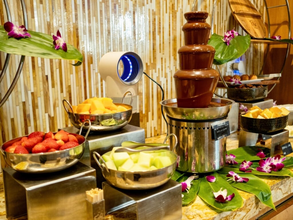 Chocolate Fountain with brownies, sponge cake, and fresh fruit for dipping Nā Lei Aloha.