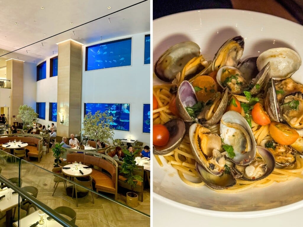 La Bettola Italian restaurant Waikīkī, at 'Alohilani Hotel dining area with floor to ceiling aquarium in the background. Right: seafood pasta with shrimp muscles , clams, squid and crab and tomatoes.