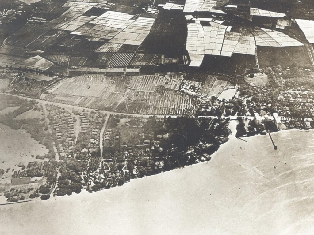 1920 photograph of the Waikīkī plain before the construction of the Ala Wai Canal. 