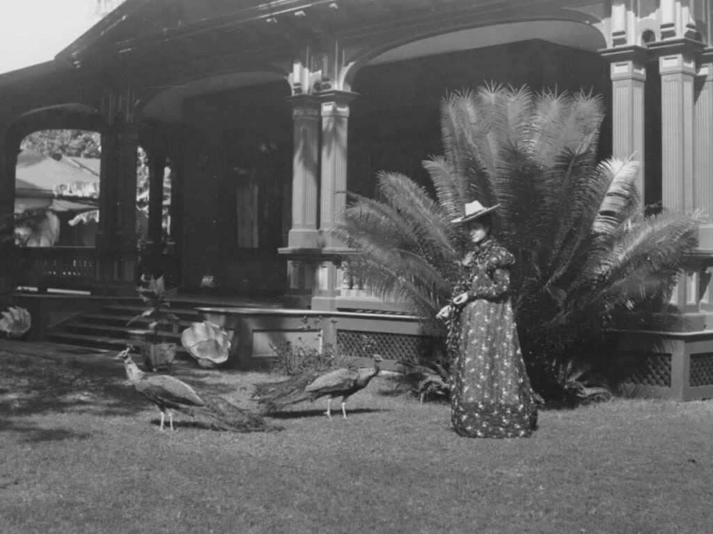 Princess Kaʻiulani feeding the peacocks at ʻĀinahau, Waikīkī, circa 1897. 