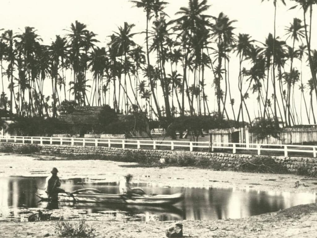 1880 Wetlands Helumoa. Coconut Grove, Waikiki; Kam V. grass house at left. Now re-erected at Queen Emma Home, Nuuanu - showing Lagoon between old Outrigger Canoe Club and Moana Hotel. Now the premises of the Royal Hawaiian Hotel.