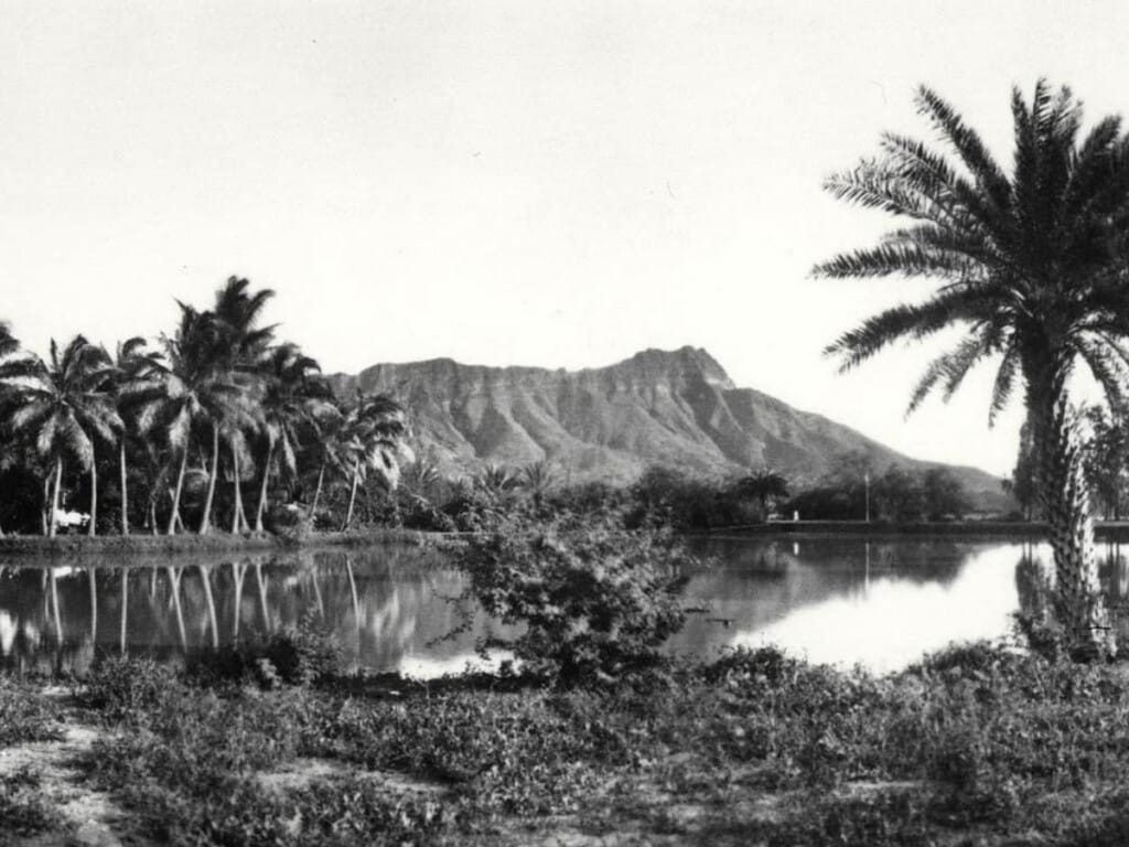 1916 Waikīkī Wetlands