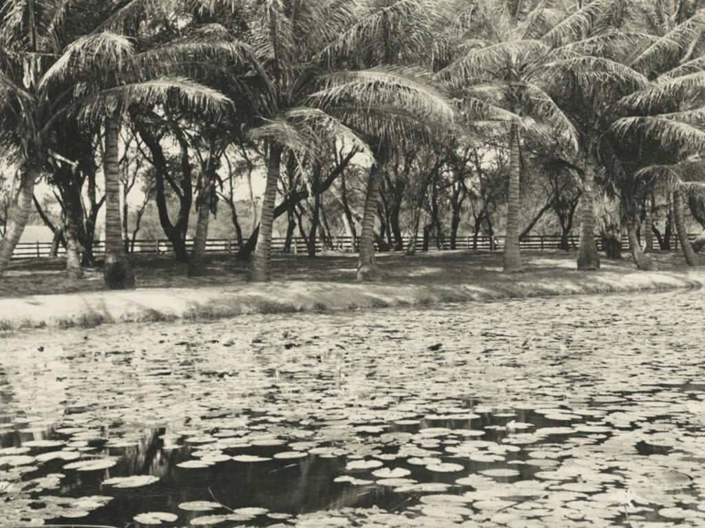 ʻApuakēhau Near Helumoa