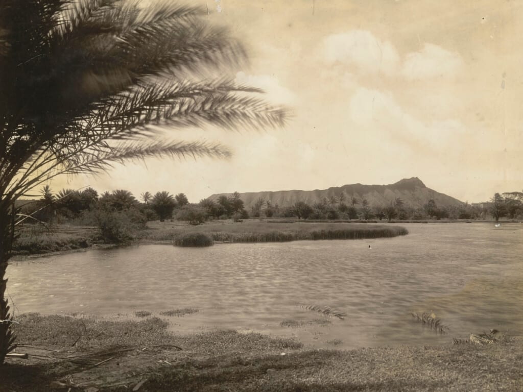 Old Road to Waikīkī, Diamond Head in the background. 