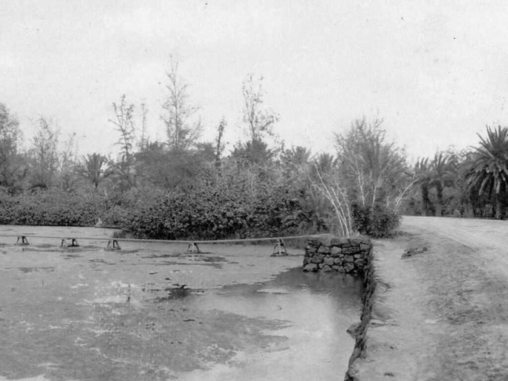 1915 Waikīkī Wetlands