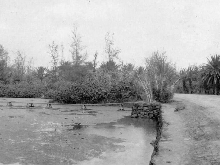 The Waikiki Lined Tank - AS