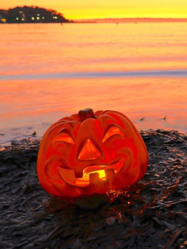 Halloween Hawaiʻi-style with a carved glowing pumpkin sitting on a tropical beach at sunrise